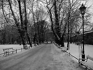 Krakow Hotel Guide - your choice of Krakow's finest hotels